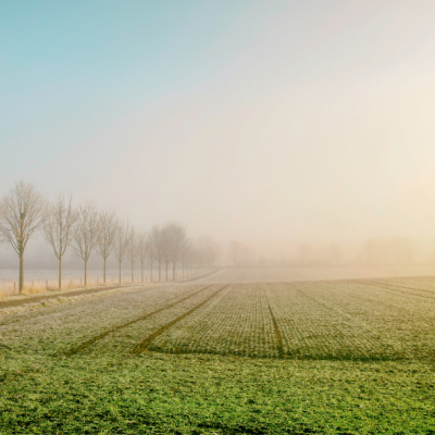 (c) Unsplash/Stefan Widua